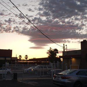 Meet your Posher, Tom